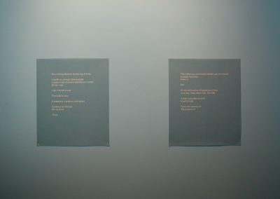 'Rosengarten', digital print on felt. Text by Janice Galloway