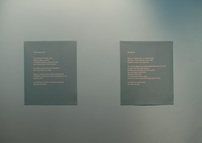 'Rosengarten', digital print on felt. Text by Janice Galloway