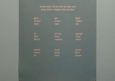 'Rosengarten', digital print on felt. Text by Janice Galloway