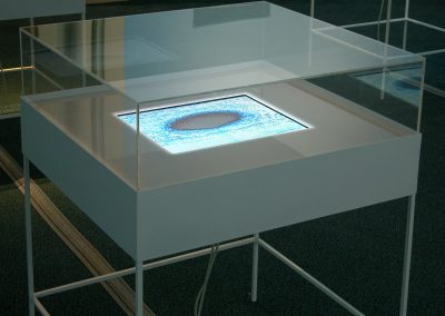 Rosengarten, video on monitor